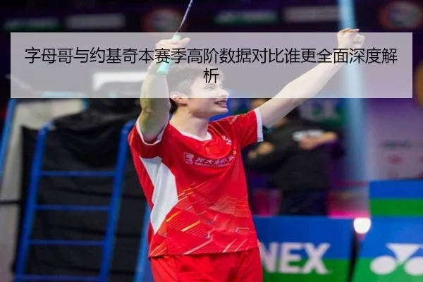 字母哥与约基奇本赛季高阶数据对比谁更全面深度解析